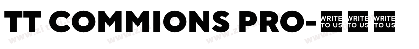TT COMMIONS PRO字体转换 TT COMMIONS PRO字体转换